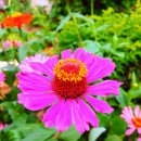 참샘골농장 이미지