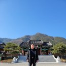 한방자연휴양림(산청) 이미지