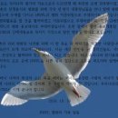 평화 이미지