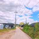 대장천생태하천 | [고양시 여행] 06# 교외선 대정역과 대장천 생태습지