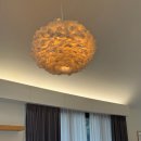 메리도그하우스 이미지