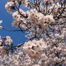 신평동1100 이미지