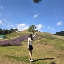 세계와 함께하는 중국어 | 고령 가볼만한곳 추천｜유네스코 세계유산 지산동고분군 대가야박물관까지 함께 둘러본 후기
