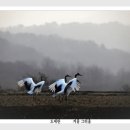 2021년도 한국사진작가협회 구로구지부 사진전동영상 이미지