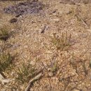 백록농장 이미지