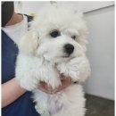 수원종합동물병원 이미지