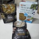 저단30 | 강아지 만성췌장염 식단 관리 후기(12살 강아지 실제 식단 공유)