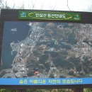 무선초등학교