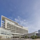 아르피나 이미지