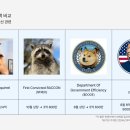 도그트랜드 이미지