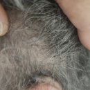 석사 경로당 이미지