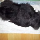 천지동물병원 이미지