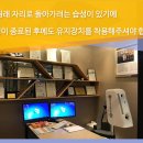 닥터임치과의원 네이버블로그