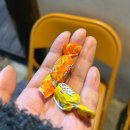 상봉 | [동성로술집] 또간집! 삼덕동술집 ‘상봉 동성로’ 후기