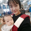 프라임항공여행 이미지