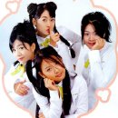 핑클 이미지