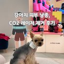 라퓨클레르 동물피부클리닉 이미지