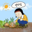 미니멀시즌