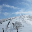 복정역2번출구앞 이미지