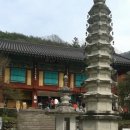 우포늪단감펜션 이미지