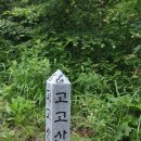 완택산 이미지