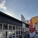 고래막썰어회센터(서생) | 동해 묵호항 자연산 활어센터 13호점 독도 수산 방문 포장 후기 [쥐치회, 오징어회, 성대회]