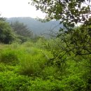 구산면579 이미지