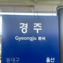 경주화백컨벤션뷰로 노동조합 | [경주화백컨벤션뷰로/경주 마이스랑 8기] 발대식 후기