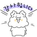 봉글살롱 이미지