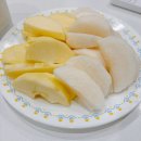 (주)포레스트 카라반 파크 | 더세븐글램핑카라반, VIP계곡폴딩카라반 (+THE포레스트카라반 비교)