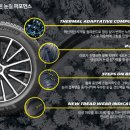 드래곤타이어 대전점 이미지