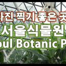 사진 찍기 좋은 곳 #서울식물원 #Seoul Botanic Park 이미지