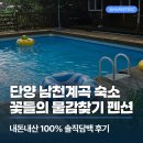 기린초등학교 | 단양 남천계곡 숙소, 꽃들의물감찾기 펜션 100% 내돈내산 솔직후기!