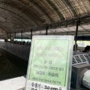 춘천실내낚시터 이미지