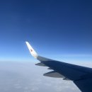 워킹홀리데이 | [2월 일상 기록] 호주 워킹홀리데이 후기