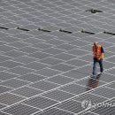 알프스 태양광발전소 이미지