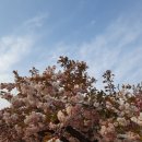 나의 작고 아늑한 역사: 경주 - 나도 그리고 나만의 맛집 목록