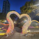 국화전시회 버스킹 문화공연 이미지