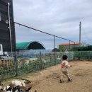 지누농장 이미지