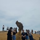 대만 예스폭지 버스투어 (예류-스펀폭포-스펀-지우펀)후기 (feat. 레전드가이드 케이)