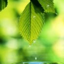 시립자동차공업사 이미지