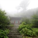 사자사지 이미지