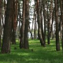 허균+허난설헌기념관 이미지