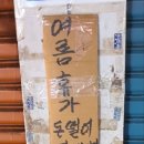 언제나 여름