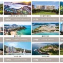 경상북도 청송군 부동면 주왕산로 494