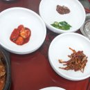 백학정 Daum카페