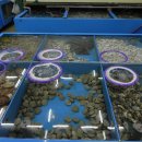 미도파횟집 이미지