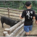 봉황의나라 고흥택견 전수관 이미지