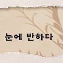 눈에반하다 네이버블로그
