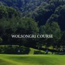 월송리 컨트리클럽 이미지